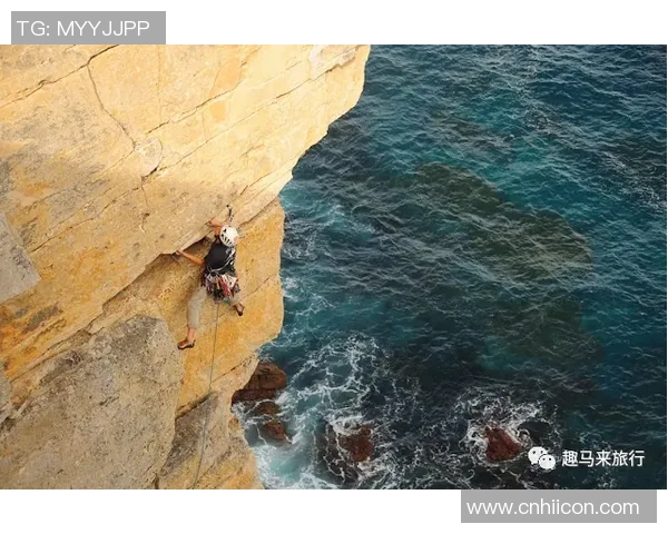 实时新闻深圳极限运动队在世界攀岩锦标赛中的蜕变与新挑战之路